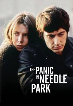 Panico a Needle Park