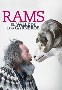 Rams - Storia di due fratelli e otto pecore