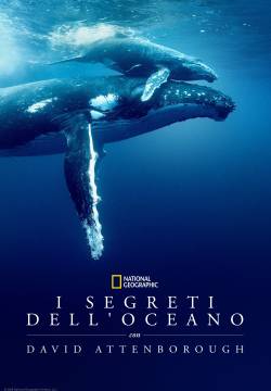 I Segreti Dell’oceano con David Attenborough